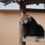 千葉市動物公園