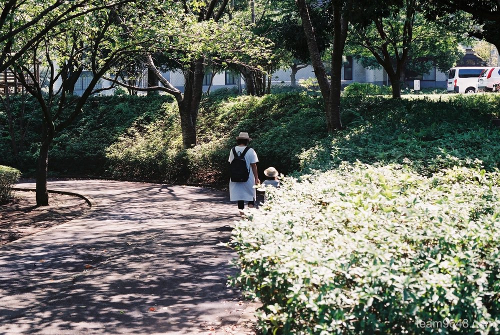 FUJIFILM 業務用100 作例
