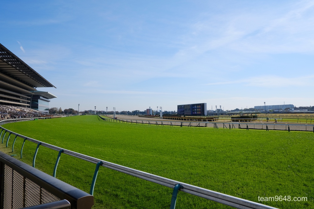 東京競馬場