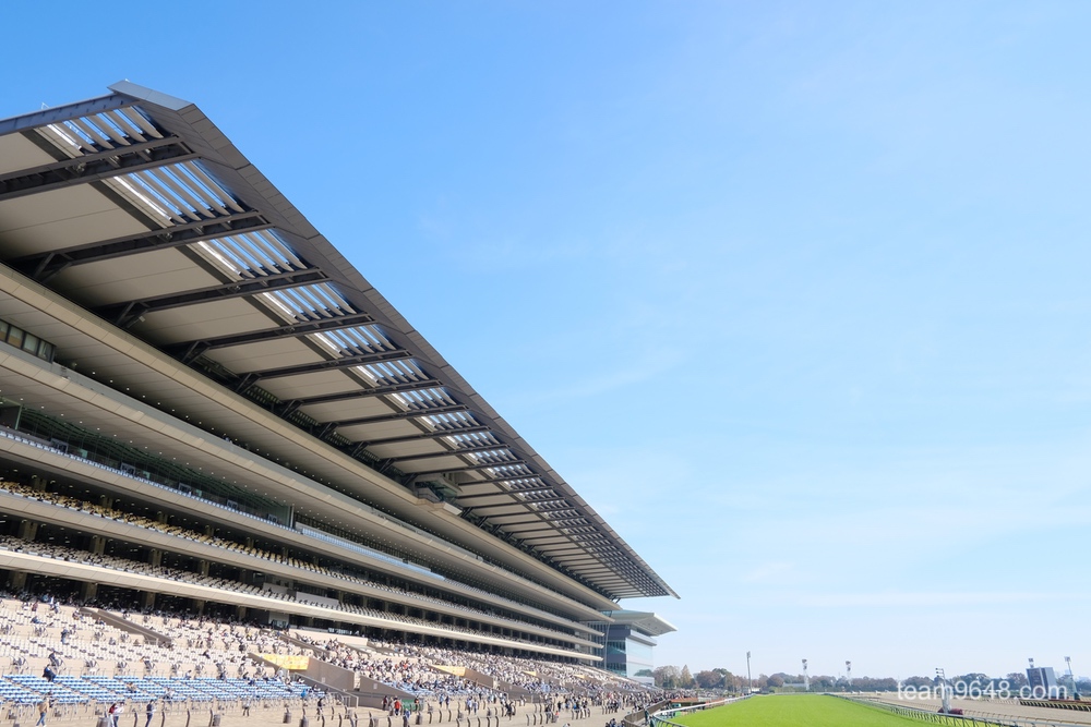 東京競馬場