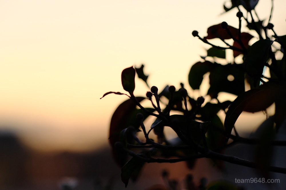 X-H1 XF90mm
