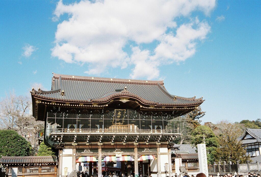 ナチュラクラシカ Venus800 作例 成田山新勝寺