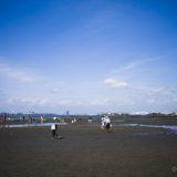 ふなばし三番瀬海浜公園 潮干狩り