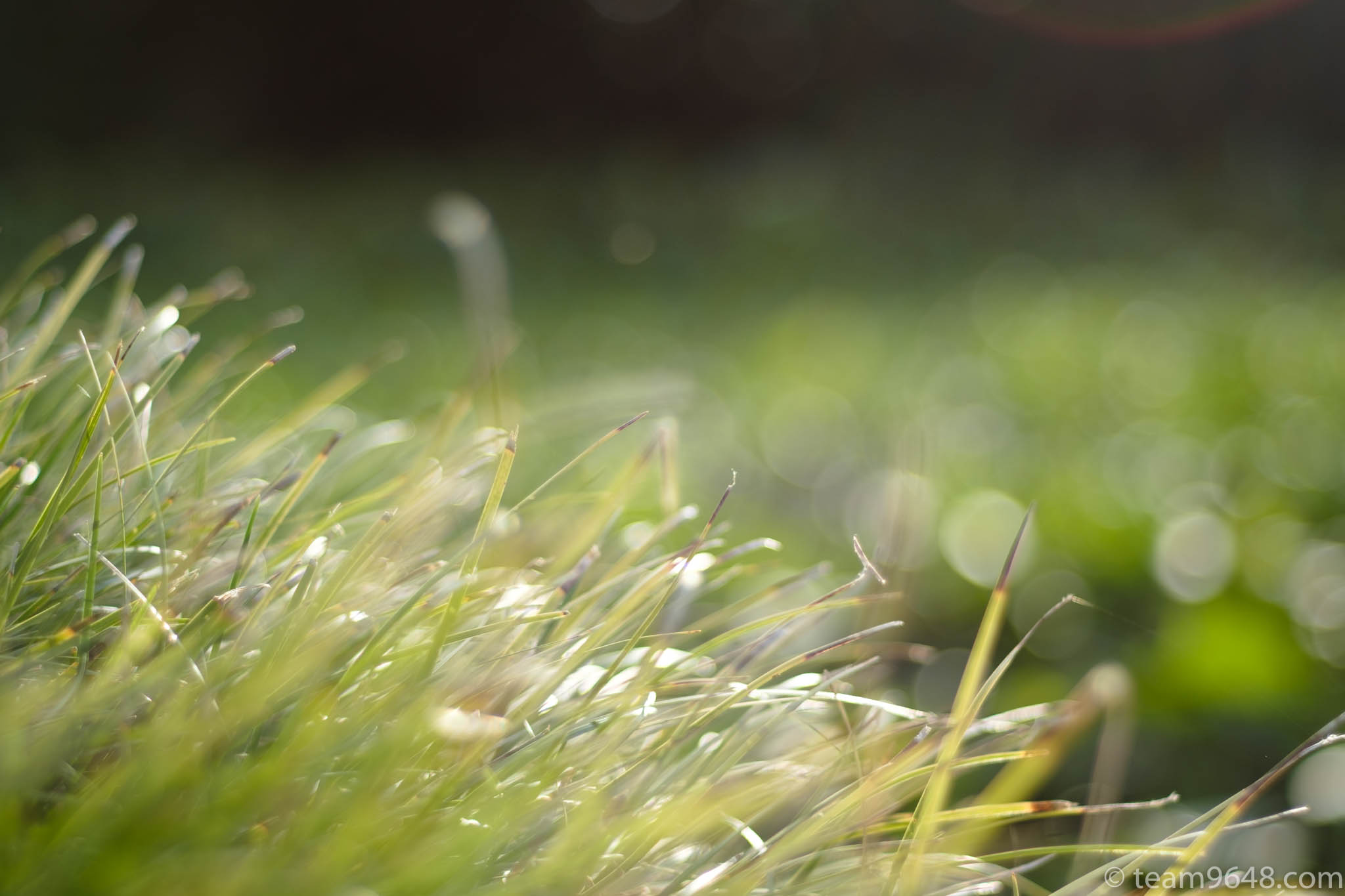 X-H1 smc PENTAX-M 50mm f1.7 作例