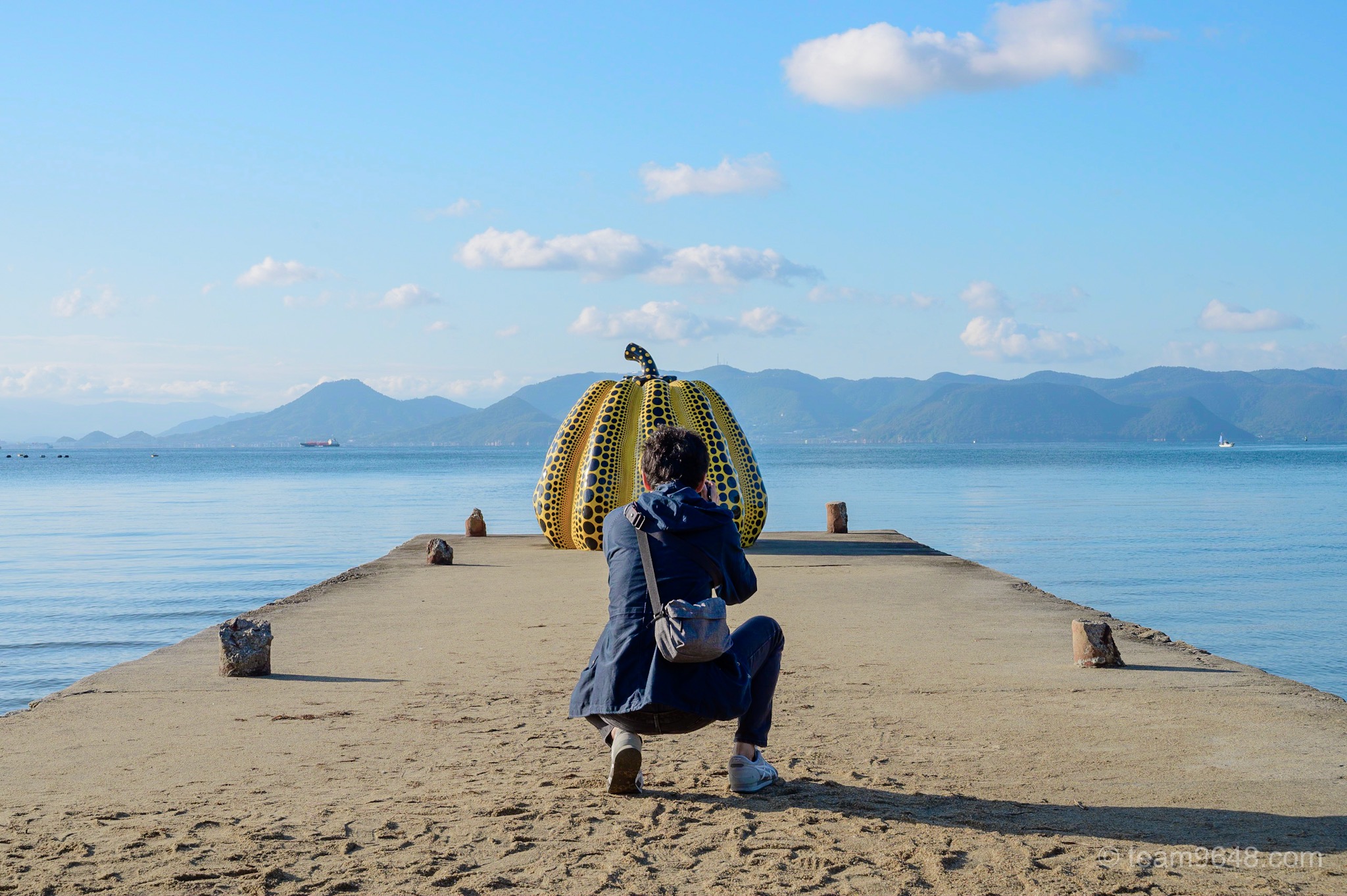 直島 南瓜