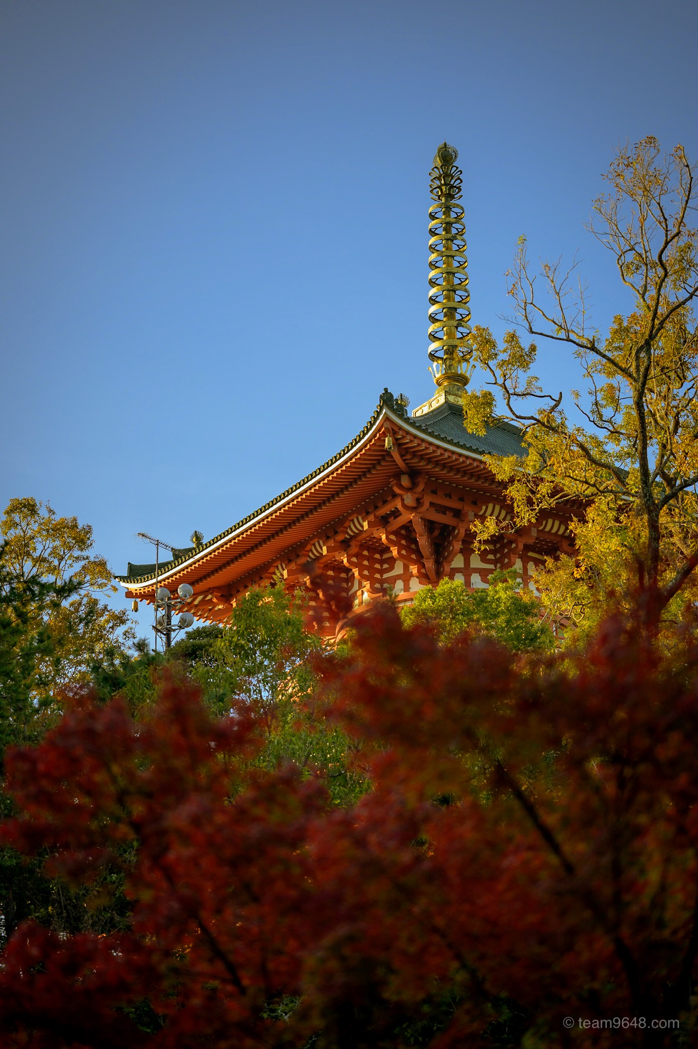 成田山新勝寺