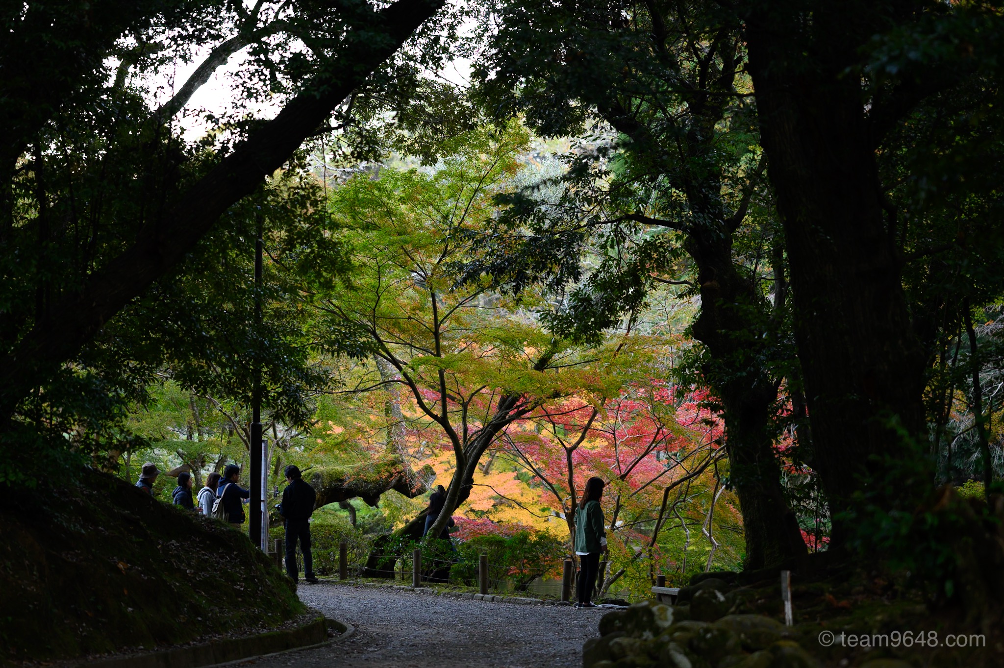 成田山公園 紅葉 秋