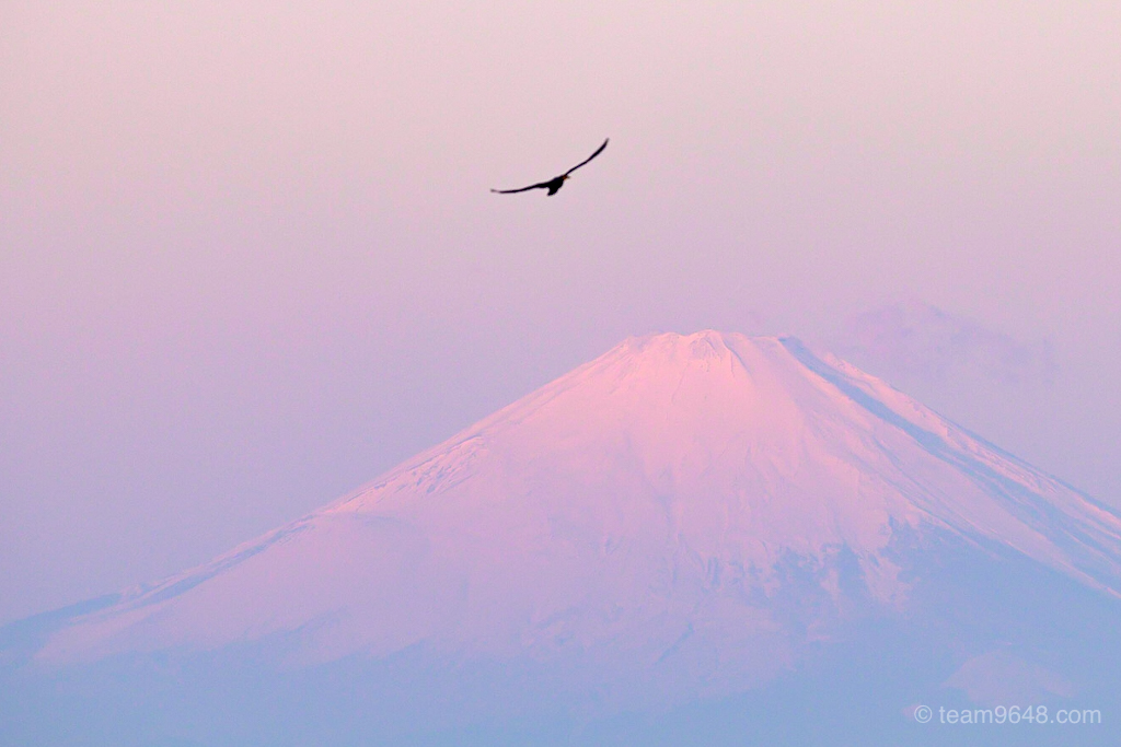 sigma 100-400 富士山 朝
